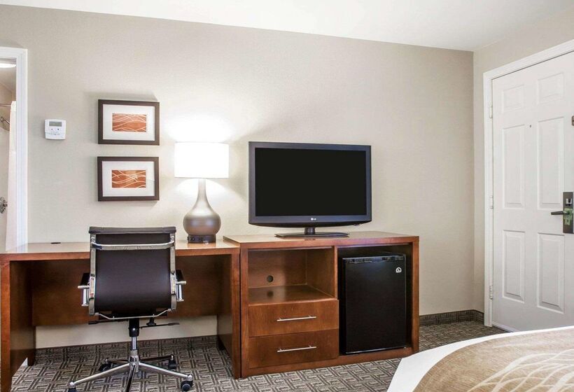 酒店 Comfort Inn & Suites Sturbridgebrimfield