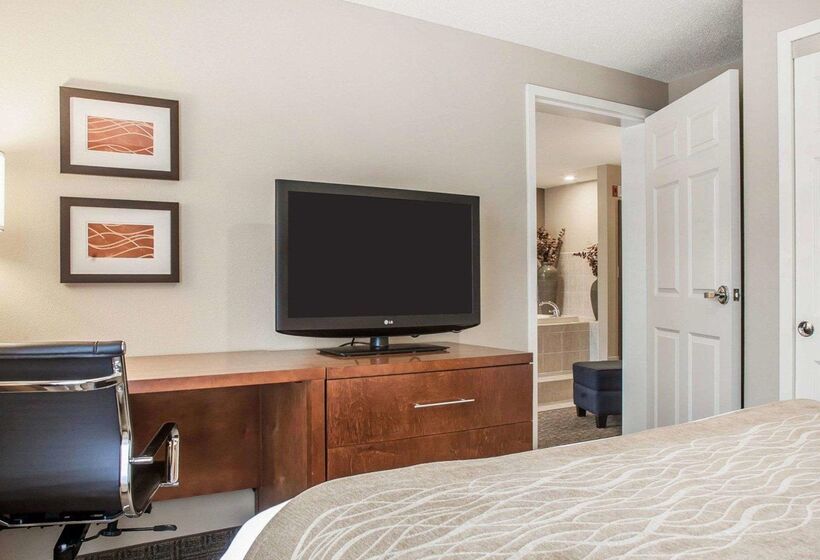 酒店 Comfort Inn & Suites Sturbridgebrimfield