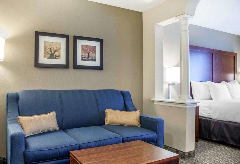 酒店 Comfort Inn & Suites Sturbridgebrimfield