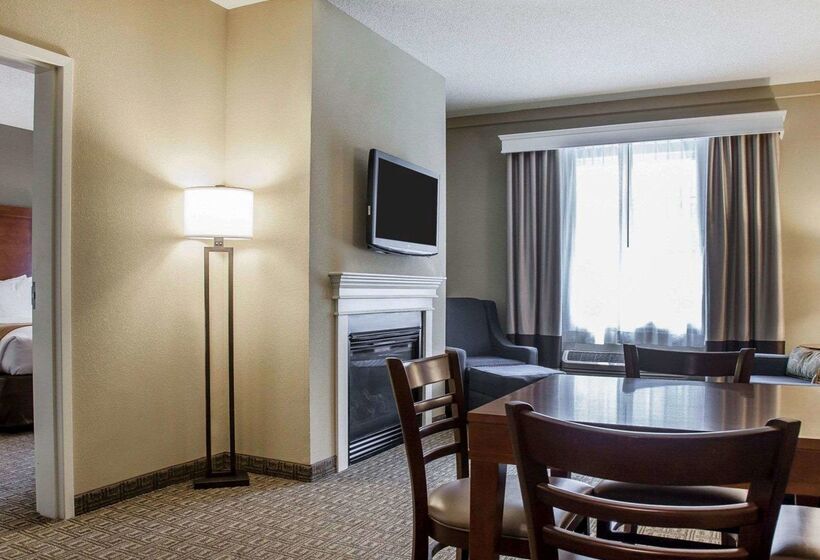 酒店 Comfort Inn & Suites Sturbridgebrimfield