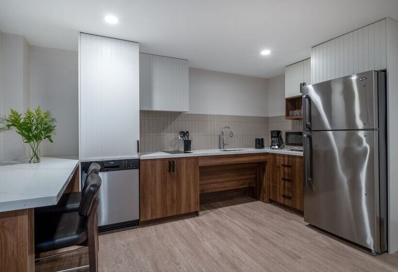 هتل Staybridge Suites Chicago O Hare   Rosemont, An Ihg