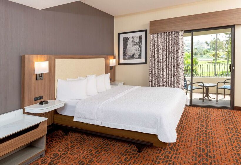 בית מלון כפרי Hampton Inn & Suites San Clemente