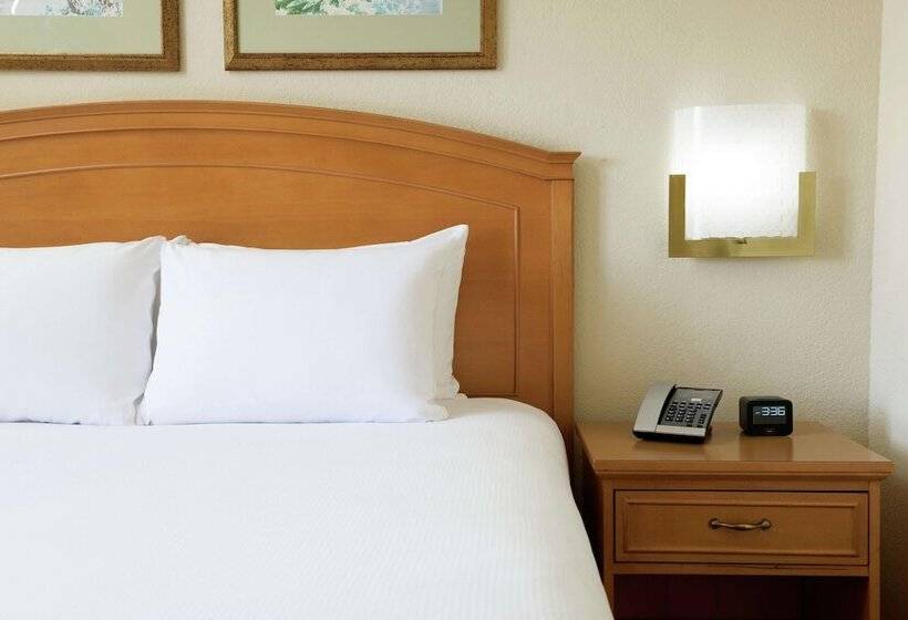 فندق Hilton Boca Raton Suites