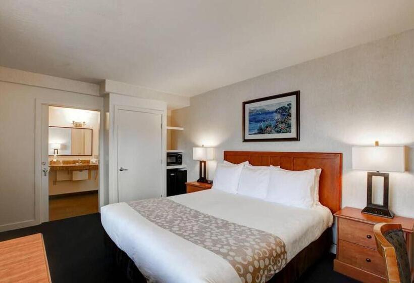 فندق Newport Channel Inn