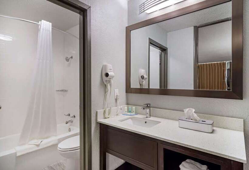فندق Quality Inn & Suites