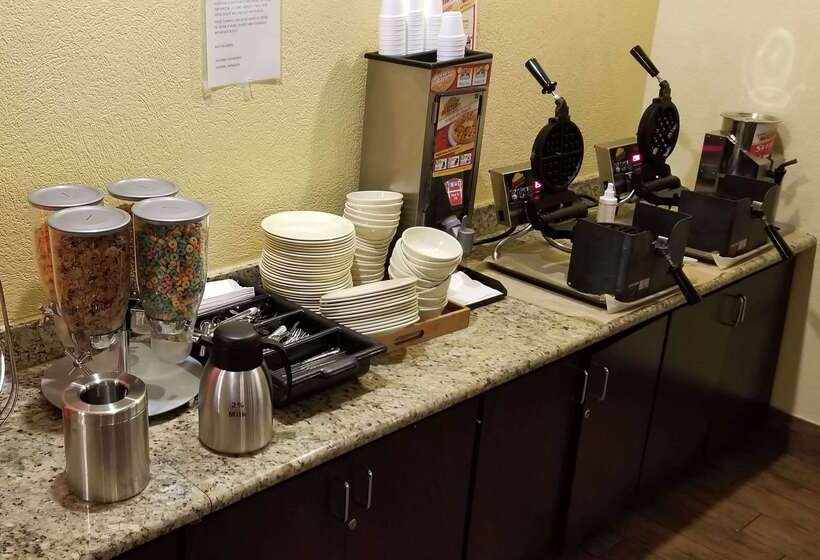 هتل Ramada By Wyndham Houston Intercontinental Airport East