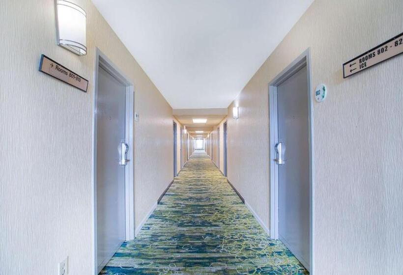 فندق Americas Best Value Inn Winston Salem, Nc