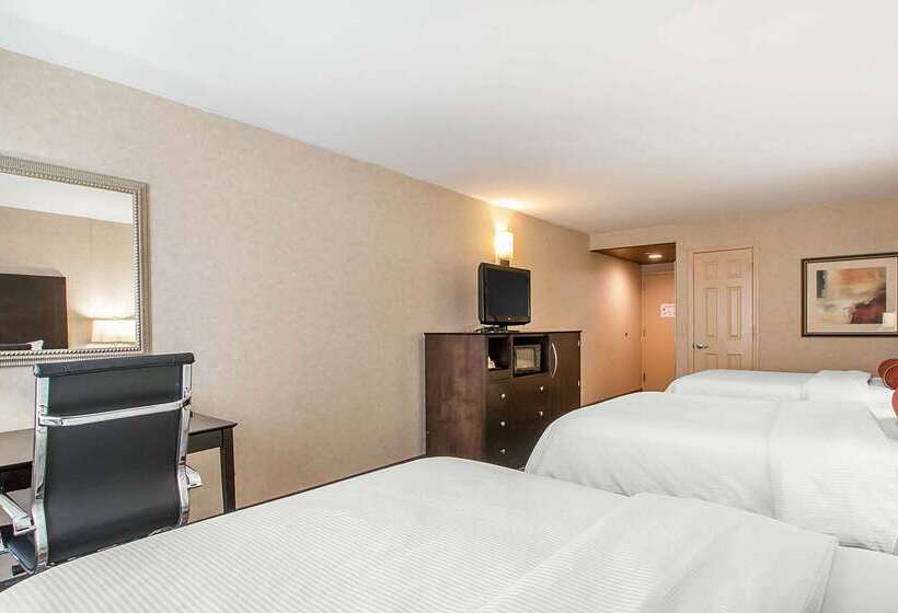 酒店 Clarion Inn Elmhurst  Oak Brook Near I88, I290, I294