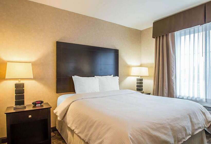 酒店 Clarion Inn Elmhurst  Oak Brook Near I88, I290, I294