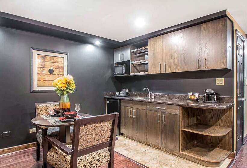 酒店 Clarion Inn Elmhurst  Oak Brook Near I88, I290, I294