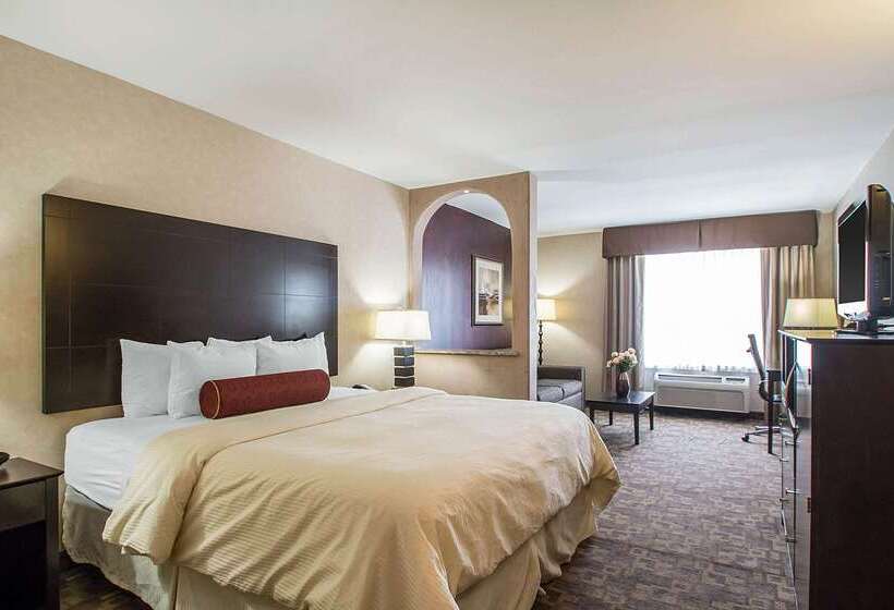 酒店 Clarion Inn Elmhurst  Oak Brook Near I88, I290, I294