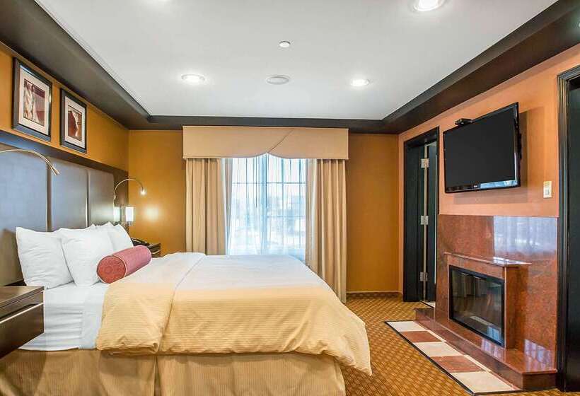 酒店 Clarion Inn Elmhurst  Oak Brook Near I88, I290, I294