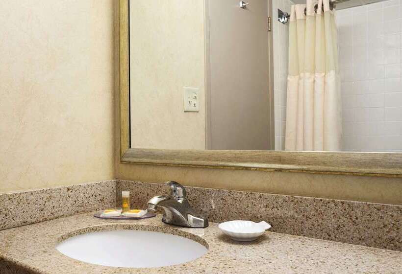 בית מלון כפרי Days Inn By Wyndham Rock Falls