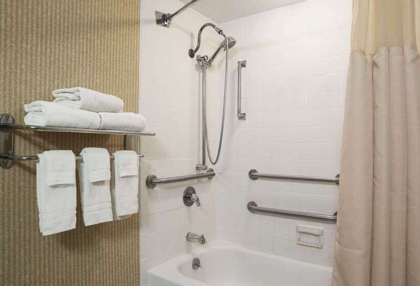 בית מלון כפרי Days Inn By Wyndham Rock Falls
