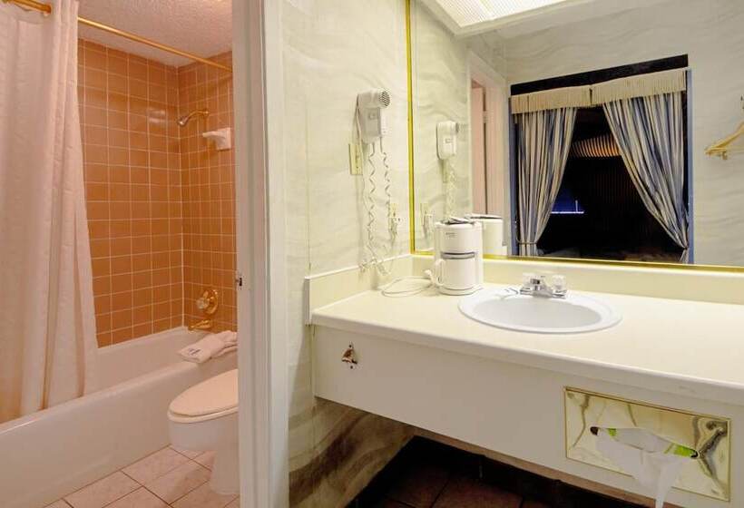 ホテル Economy Inn & Suites