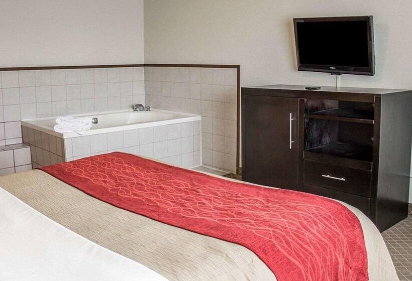 호텔 Norwood Inn & Suites North Conference Center