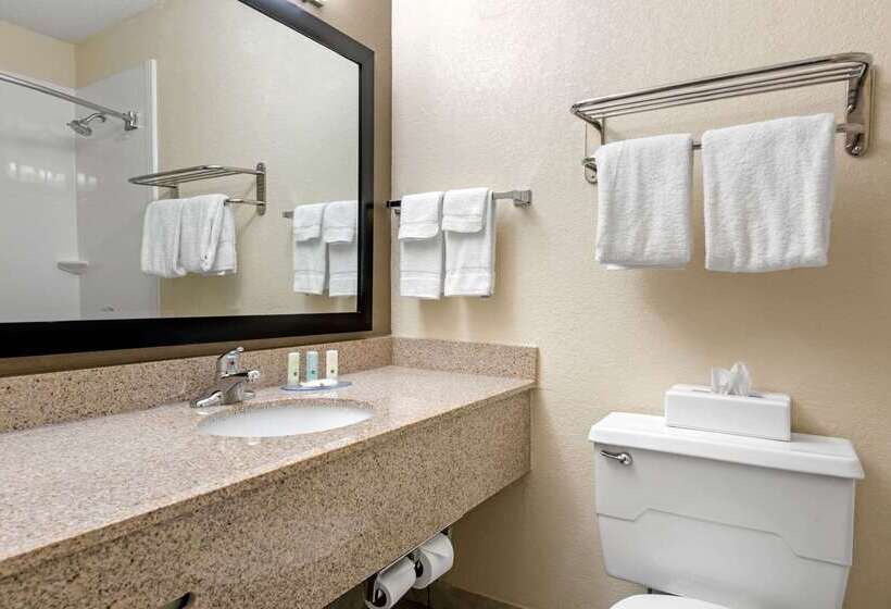 בית מלון כפרי Quality Inn & Suites Lafayette I65