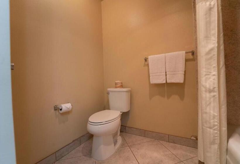 فندق Royal Plaza Inn