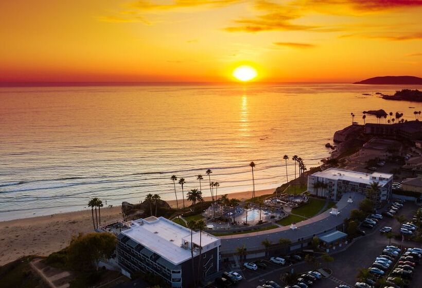 فندق Seacrest Oceanfront