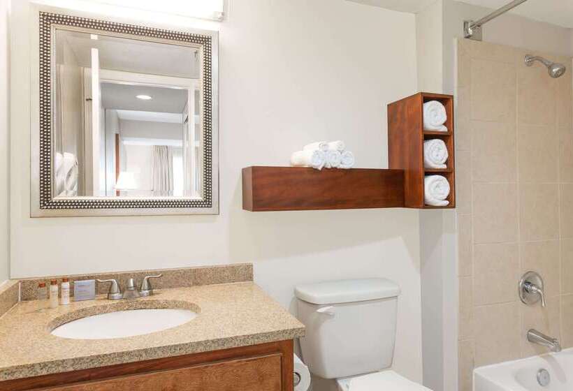 דירת נופש Hawthorn Suites By Wyndham North Charleston