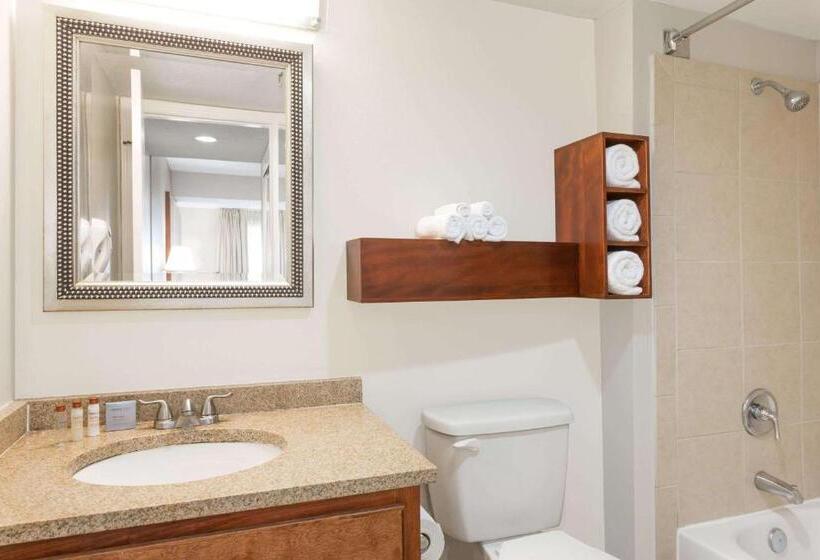 דירת נופש Hawthorn Suites By Wyndham North Charleston
