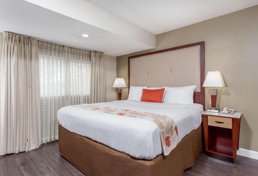 דירת נופש Hawthorn Suites By Wyndham North Charleston