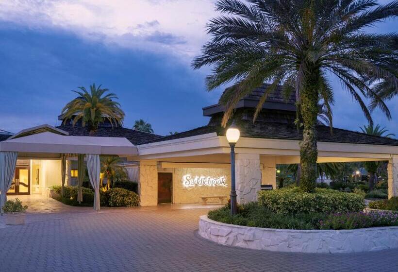 Saddlebrook Golf Resort & Spa Tampa North Wesley Chapel