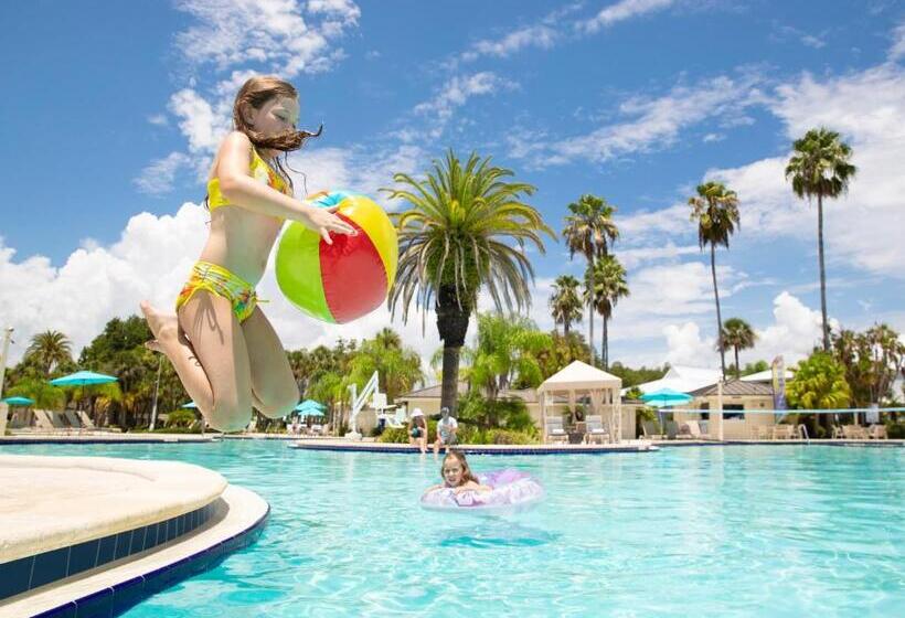Saddlebrook Golf Resort & Spa Tampa North Wesley Chapel