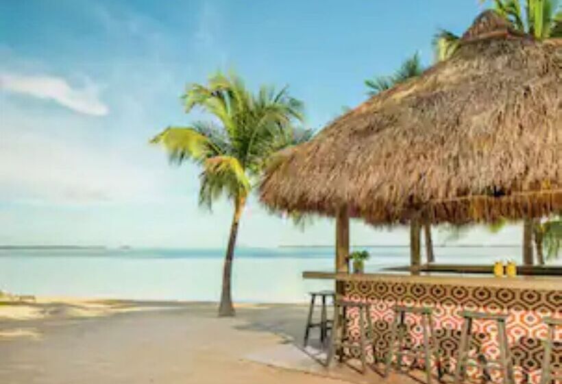 Baker S Cay Resort Key Largo, Curio Collection By Hilton