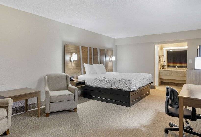 فندق Rodeway Inn