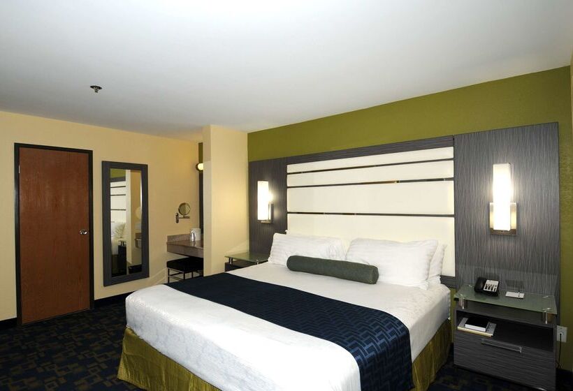 酒店 Best Western Antelope Inn & Suites