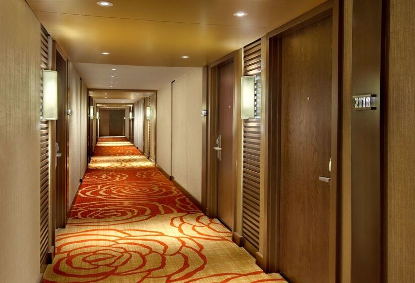 هتل Hilton Palacio Del Rio