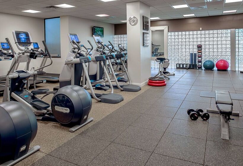 هتل Hilton St. Louis Airport