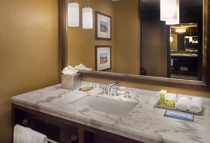 هتل Hilton St. Louis Airport