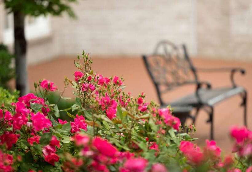 هتل Hilton St. Louis Frontenac