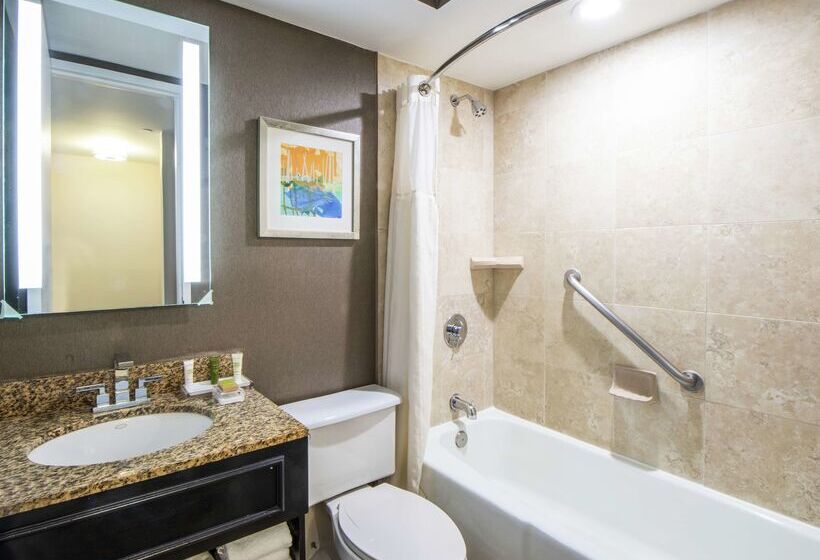 فندق Hilton St. Petersburg Bayfront
