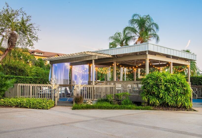 فندق Hilton Tampa Airport Westshore