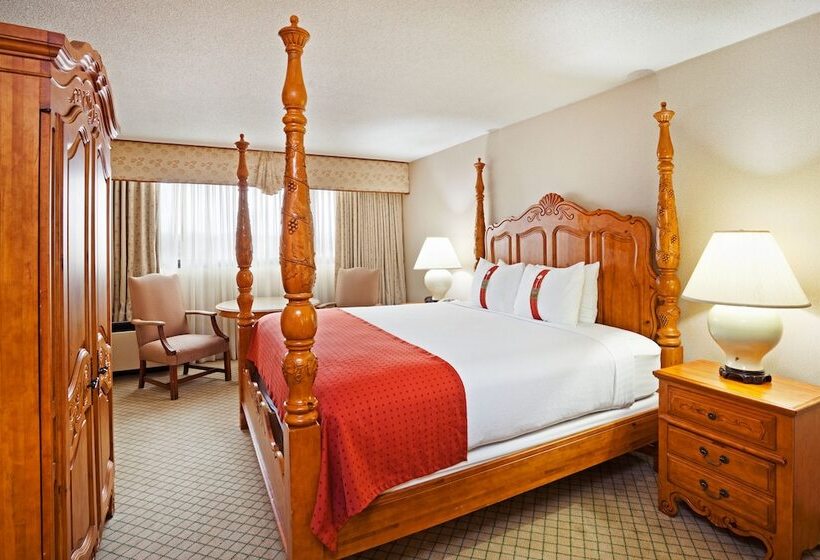 בית מלון כפרי Holiday Inn Johnson City, An Ihg