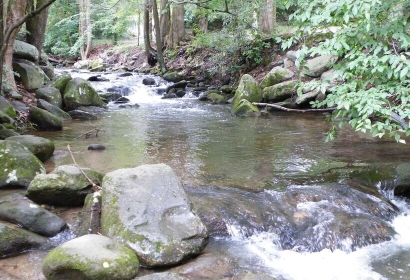 فندق Sidney James Mountain Lodge