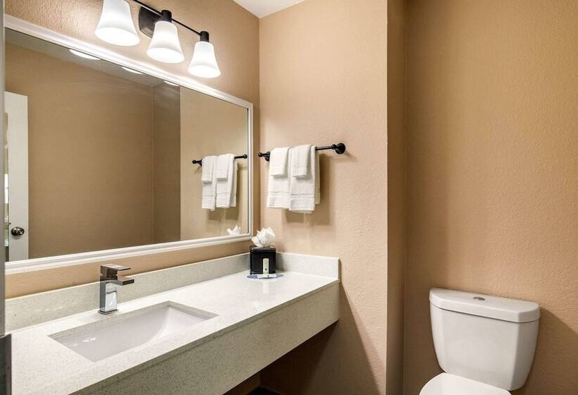 هتل Quality Inn & Suites Plano East   Richardson