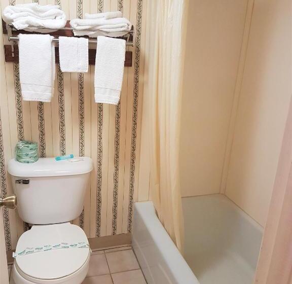 هتل Swiss Village Inn