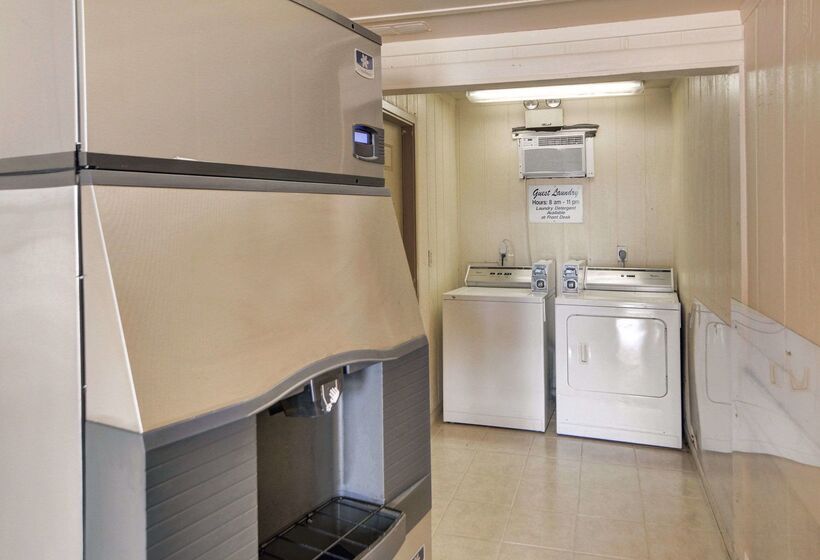 모텔 Loyalty Inn Gainesville