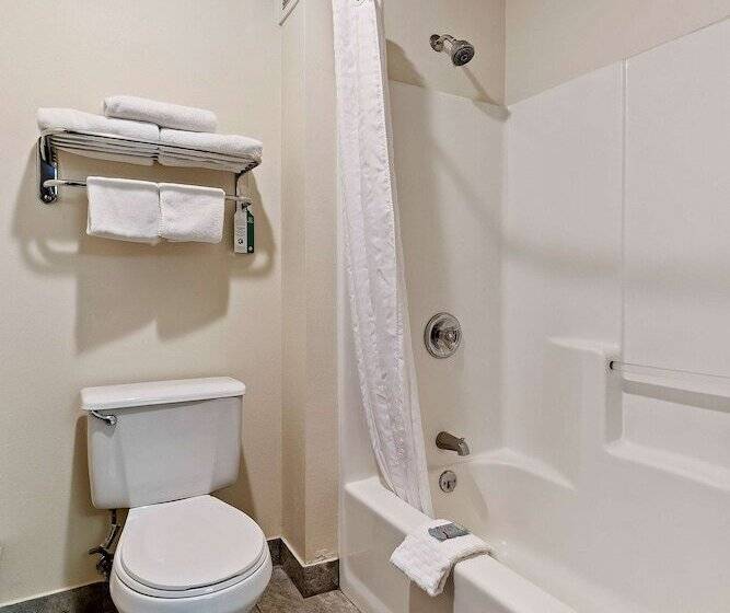 מוטל Surestay Hotel By Best Western Twin Falls