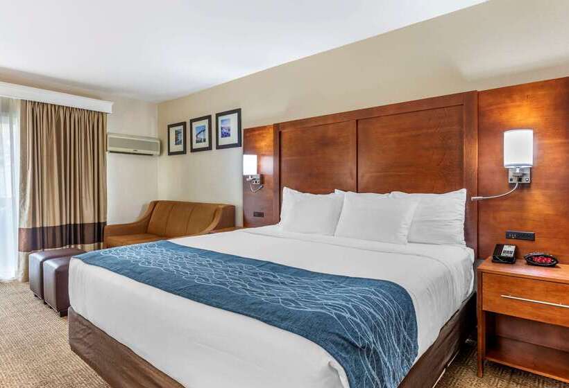 בית מלון כפרי Comfort Inn Escondido San Diego North County