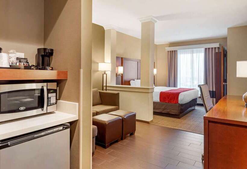 هتل Comfort Suites St George  University Area