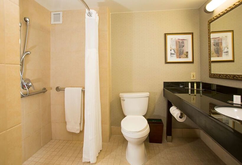 בית מלון כפרי Doubletree By Hilton  Detroit  Novi