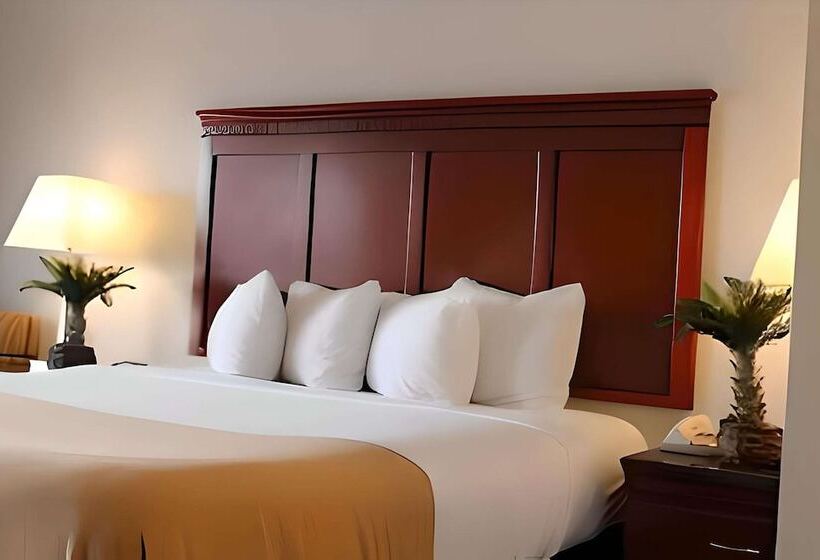 בית מלון כפרי Rodeway Inn