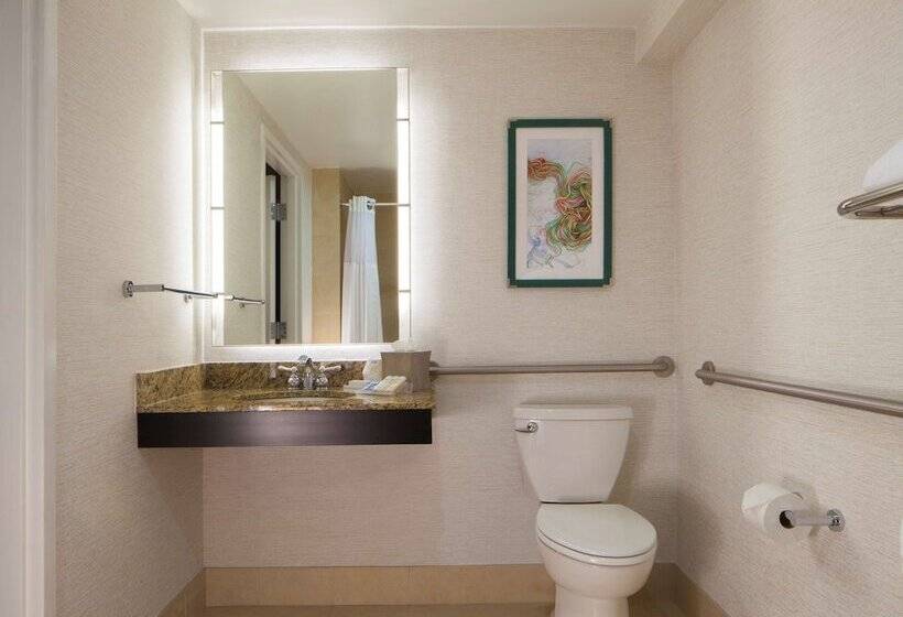 酒店 Hilton Garden Inn Austin Downtown/convention Center