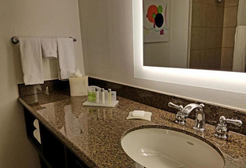هتل Holiday Inn Irving Las Colinas, An Ihg