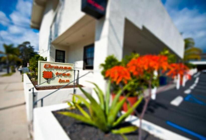 هتل Orange Tree Inn